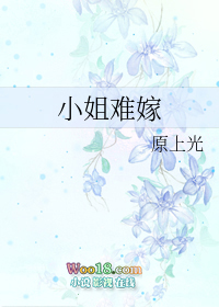 新疆南疆过路费标准