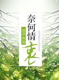 奈何情深视频出处